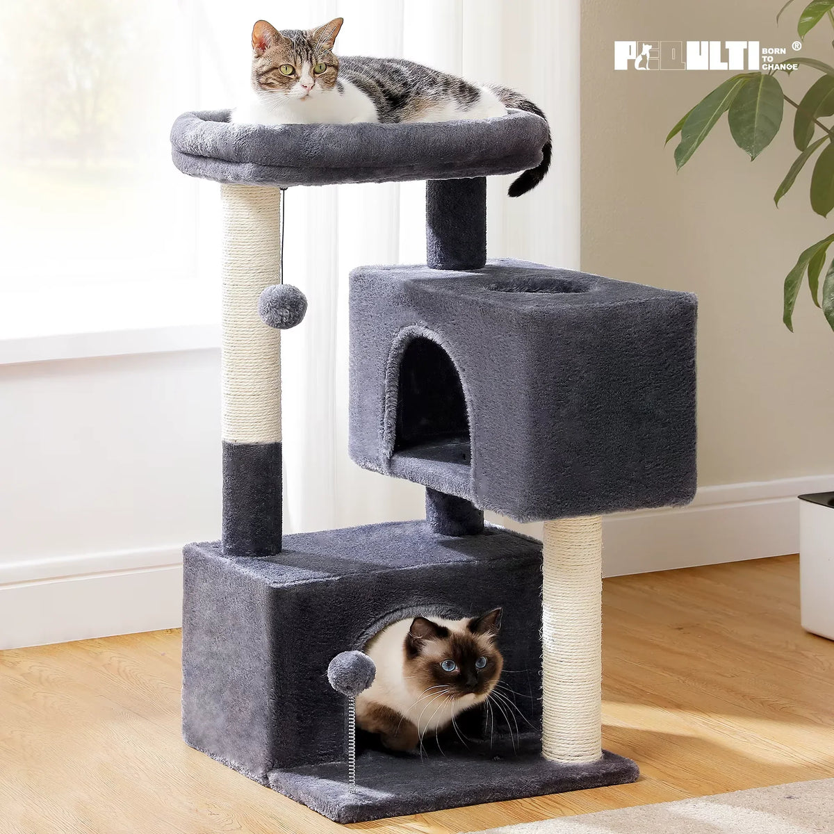 Árvore para gatos grandes — vista 2