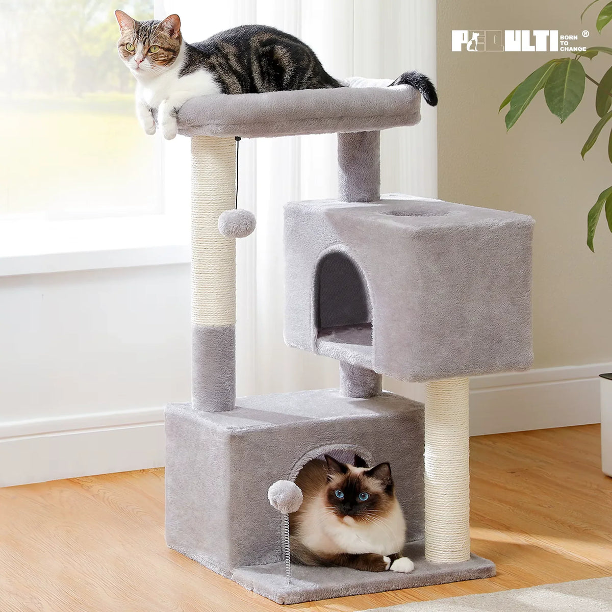 Árvore para gatos grandes — vista 3