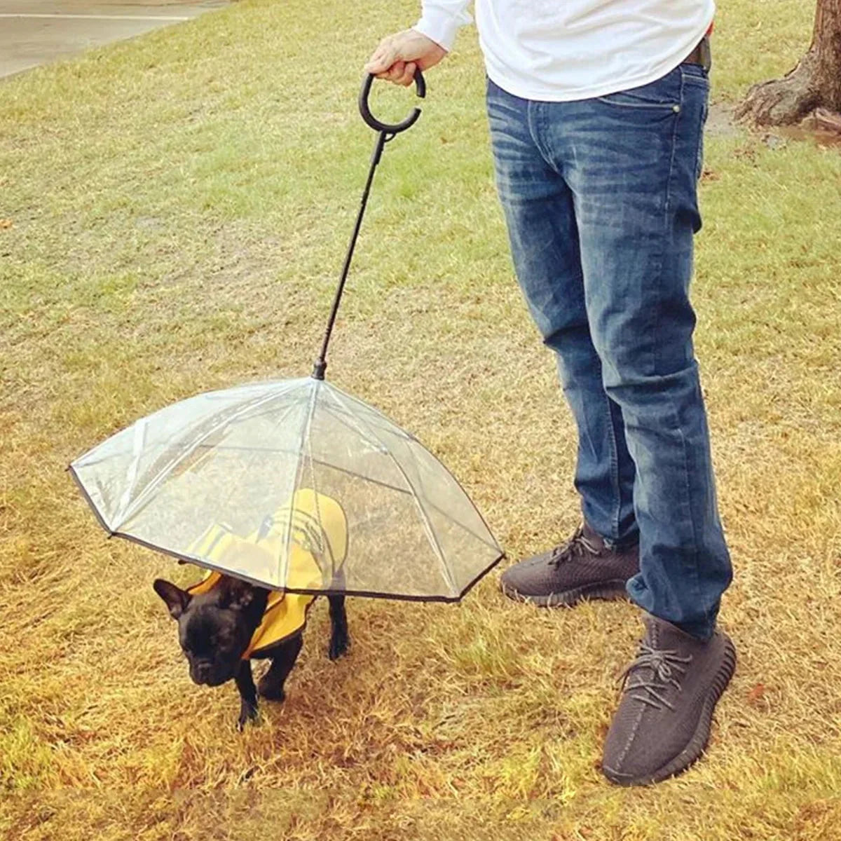 Guarda-chuva para pets — vista 4