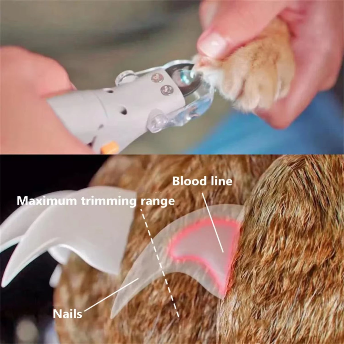 Pet Dog Nail Clipper Scissors Pet Cat Nail Cutter Toe Claw Clippers Scissor LED Light Nail Trimmer Pet Supplies Clippers for Men