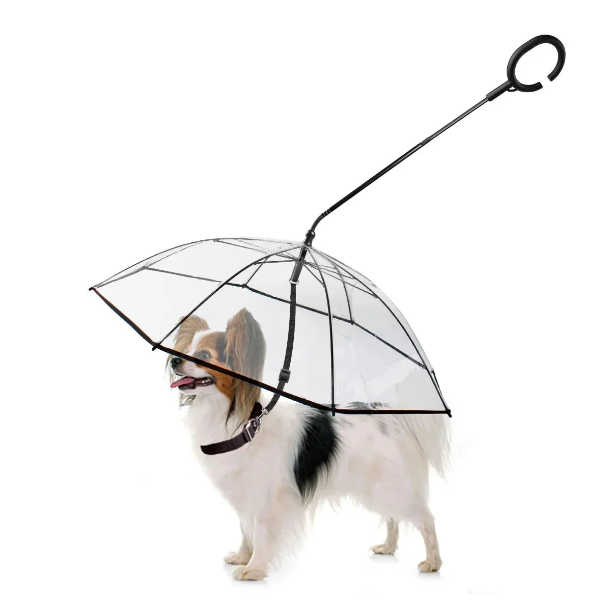 Guarda-chuva para pets — foto principal do produto